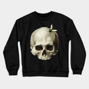 Skull with a fly around Crewneck Sweatshirt